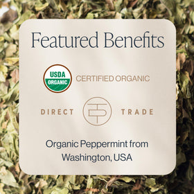 Rishi Tea Peppermint Herbal Tea brewing to steep moment