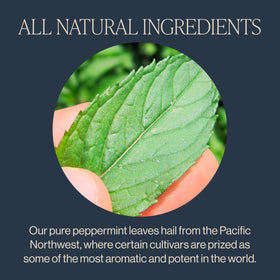 Rishi Tea Peppermint Herbal Tea in a glass cup hot infusion