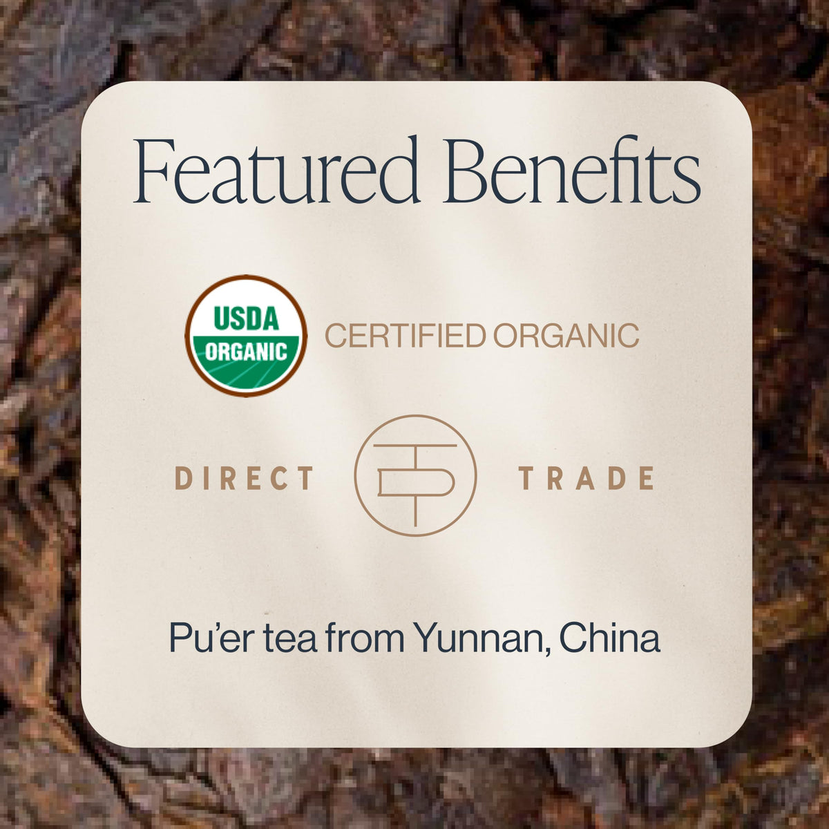 Close-up of Pu'er Tuo Cha cake steeping, revealing mellow depth and savory mocha notes.