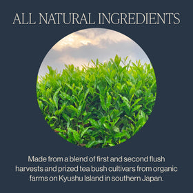 Chumushi steam process of Rishi Sencha Green Tea leaves.