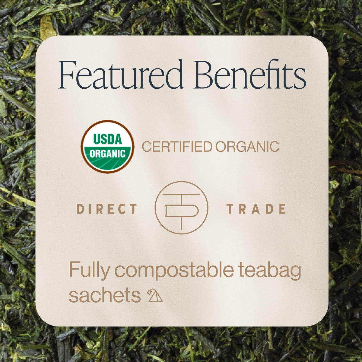 Kyushu harvests of Rishi Sencha Green Tea with bright aroma.