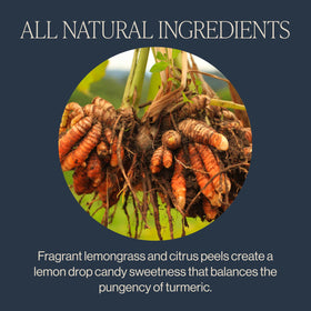 Rishi Tea spicy-ginger citrus aroma ideal for iced tea.