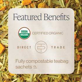 Rishi Tea Turmeric Ginger brew cup steaming for a cozy, flavorful moment