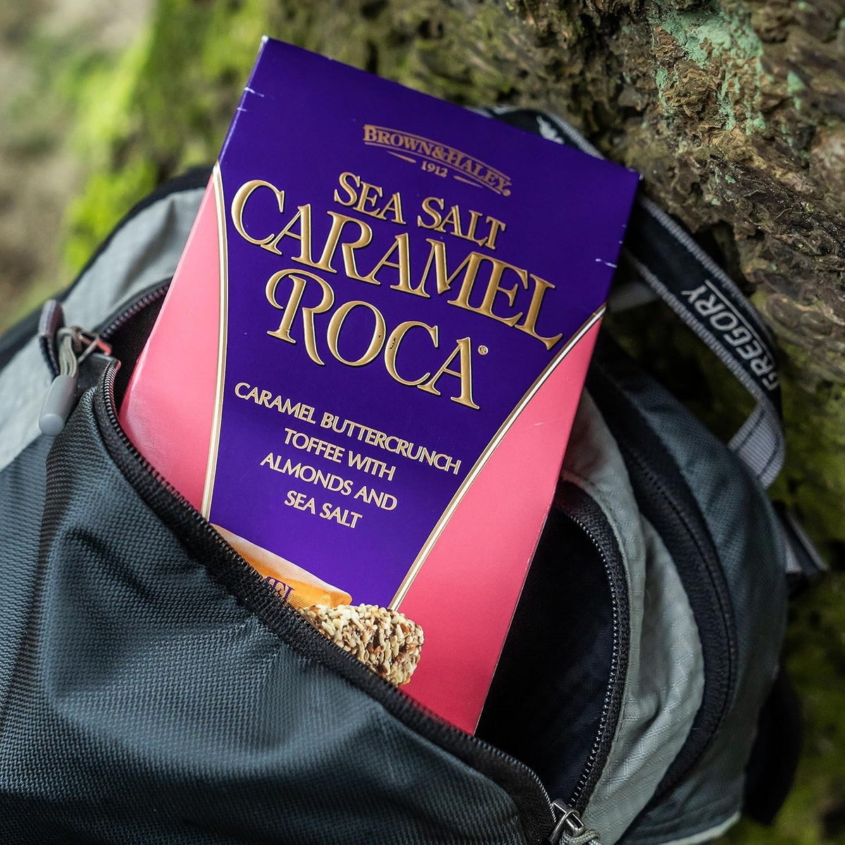 Roca stand-up box is gift-ready for celebrations or everyday treats
