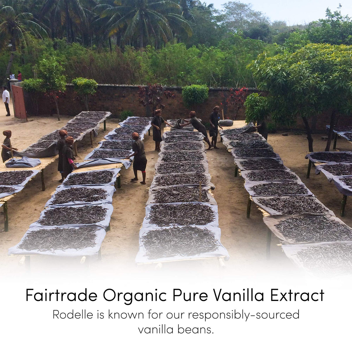 Rodelle farmers traceability label emphasizing transparent sourcing and fair pricing