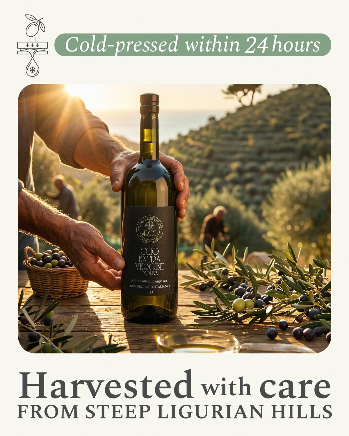 ROI Ligurian olive oil lab-dated bottle signals freshness