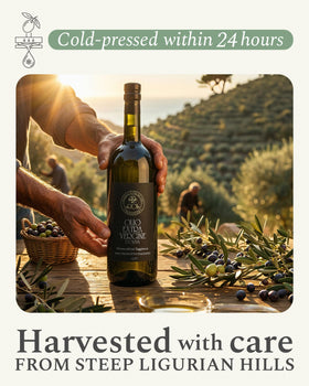 ROI Ligurian olive oil lab-dated bottle signals freshness