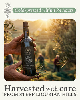 ROI Ligurian terraces and groves reflect heritage in every bottle.