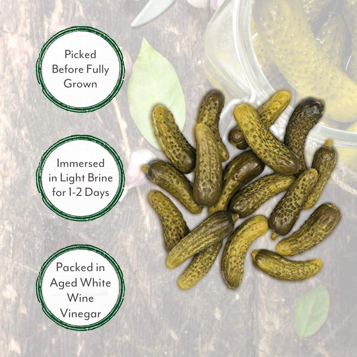 Roland Foods small cornichons showing crisp texture for dips and toppings.