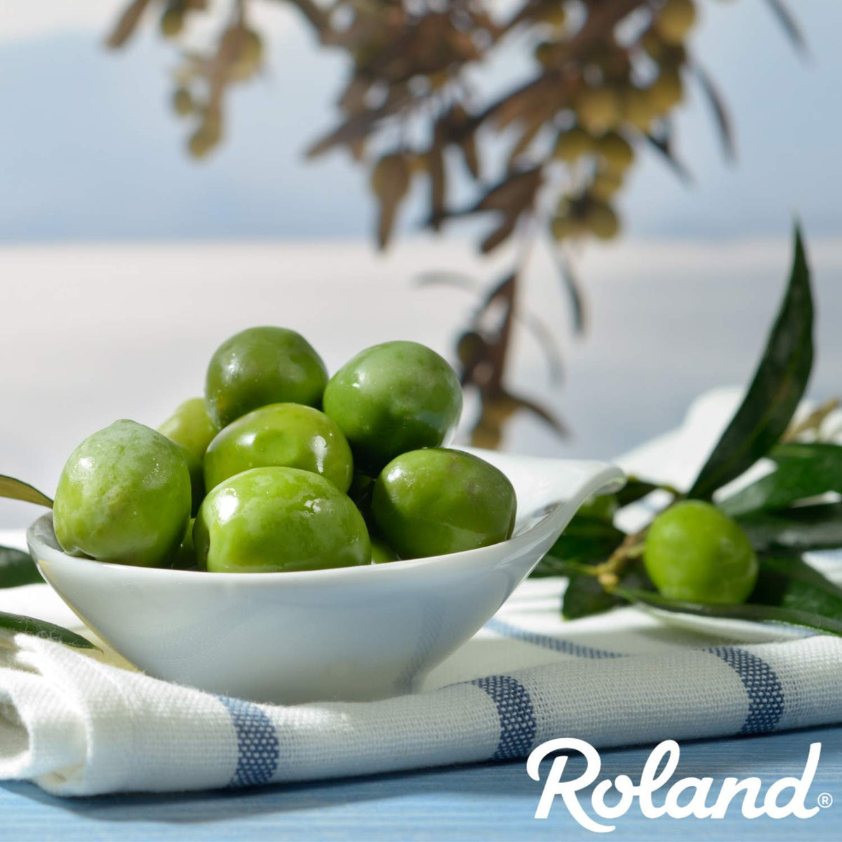 Roland Foods imported olives showcase Mediterranean flavor in entertaining and everyday meals