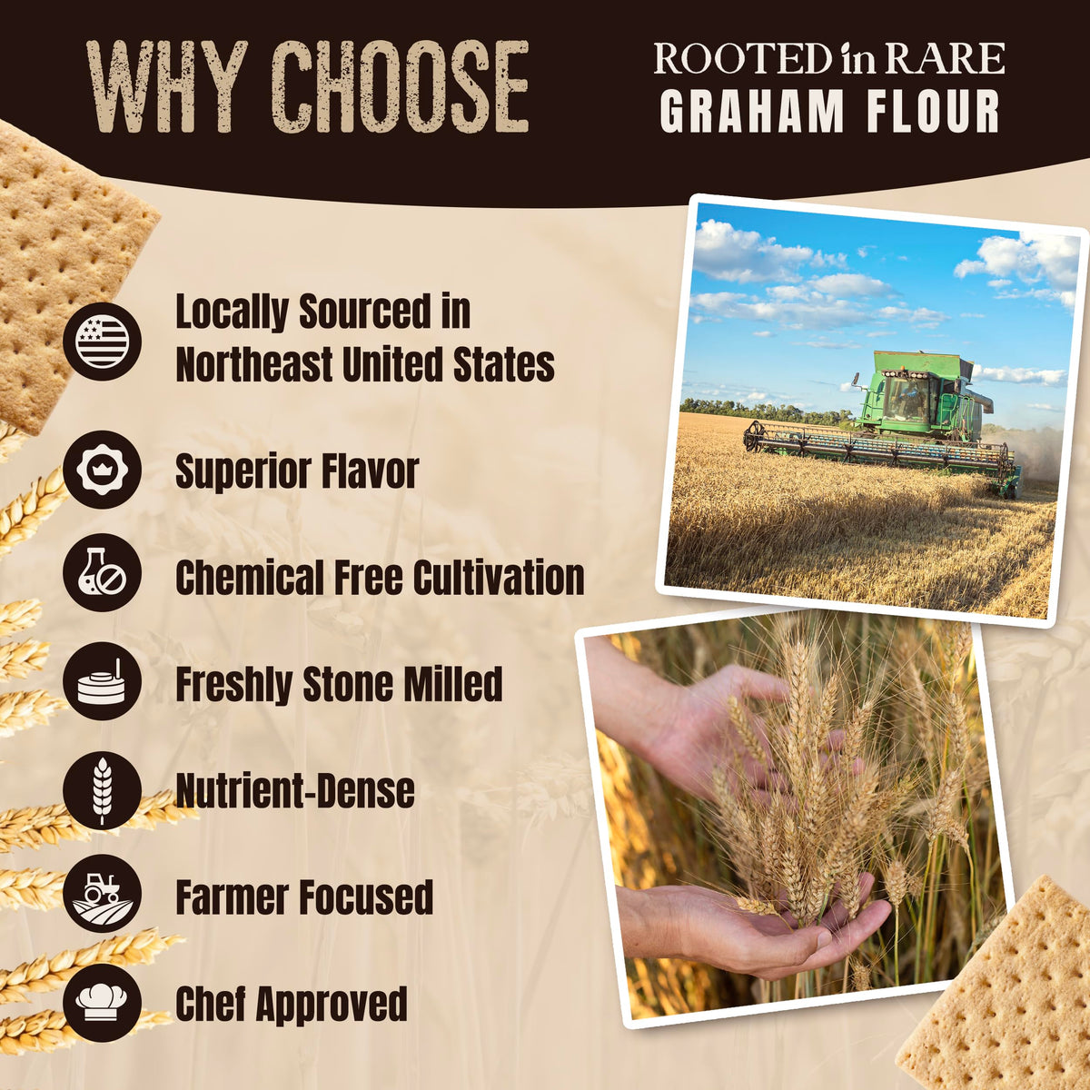 Rooted In Rare graham flour stone-ground close-up highlighting fiber-rich texture.
