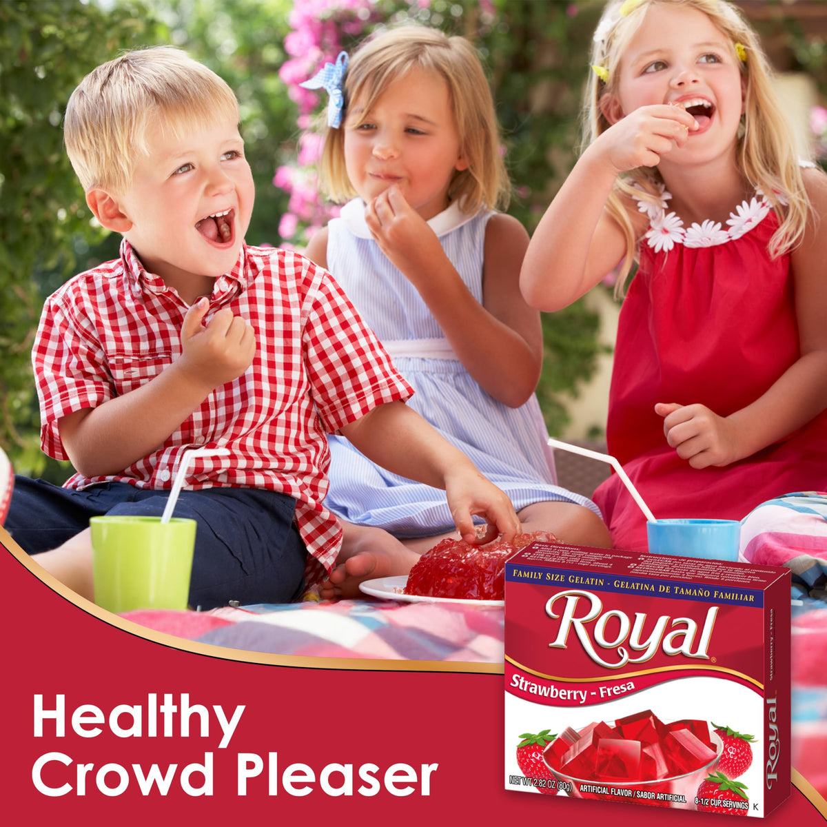 Royal Gelatin ingredients close-up shows natural components