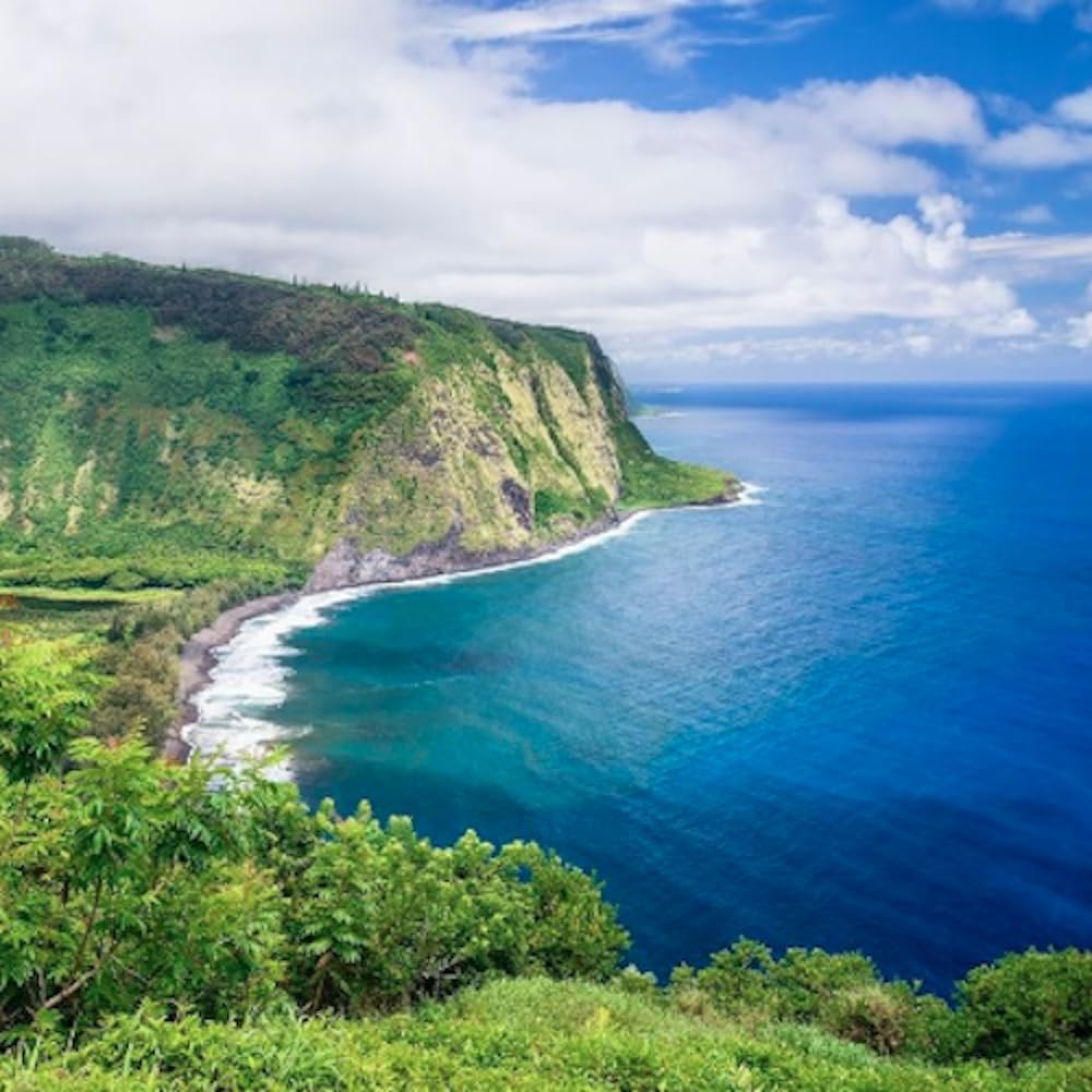 Cup of Royal Kona Coffee against Hawaii island scenery