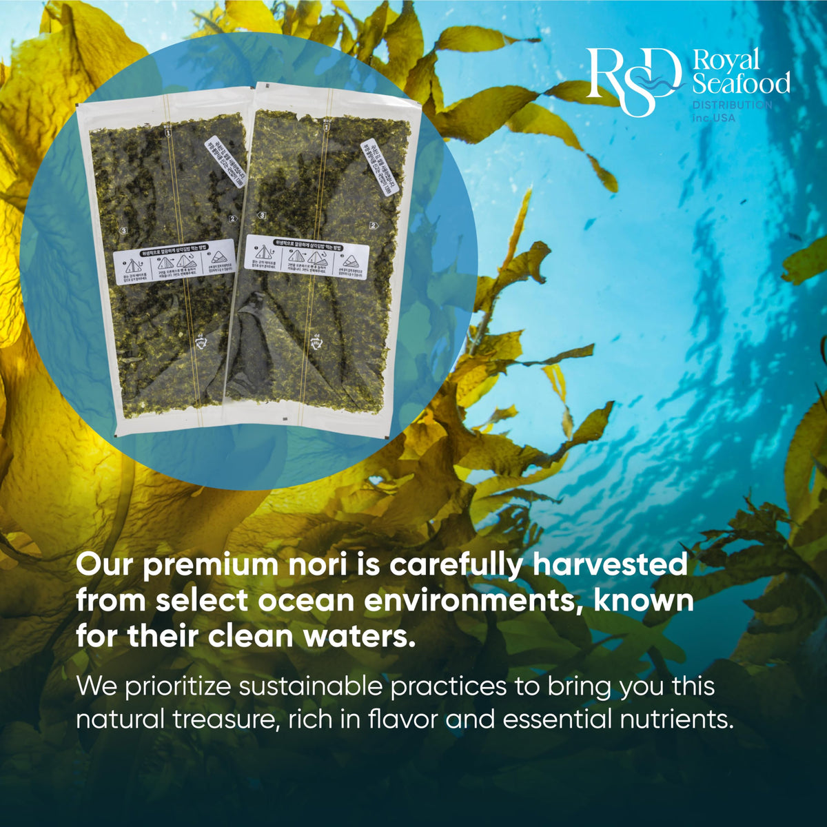 Royal Seafood Distribution versatile seaweed sheets for bento, sushi, and creative dishes.