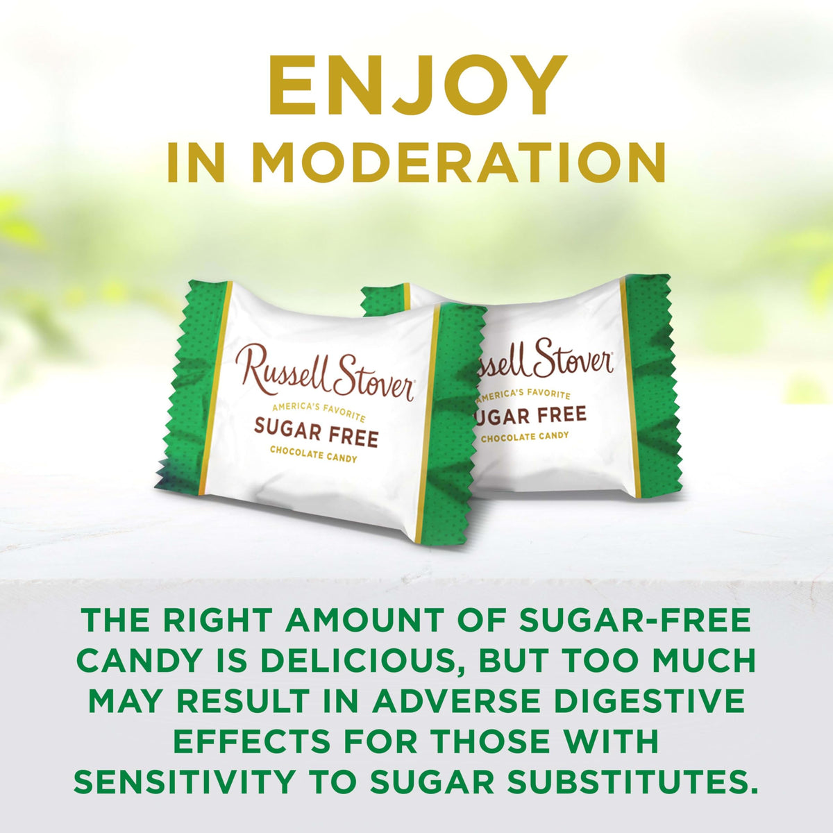 Resealable bag of Russell Stover Sugar Free Peanut Gems preserves freshness and portion control.