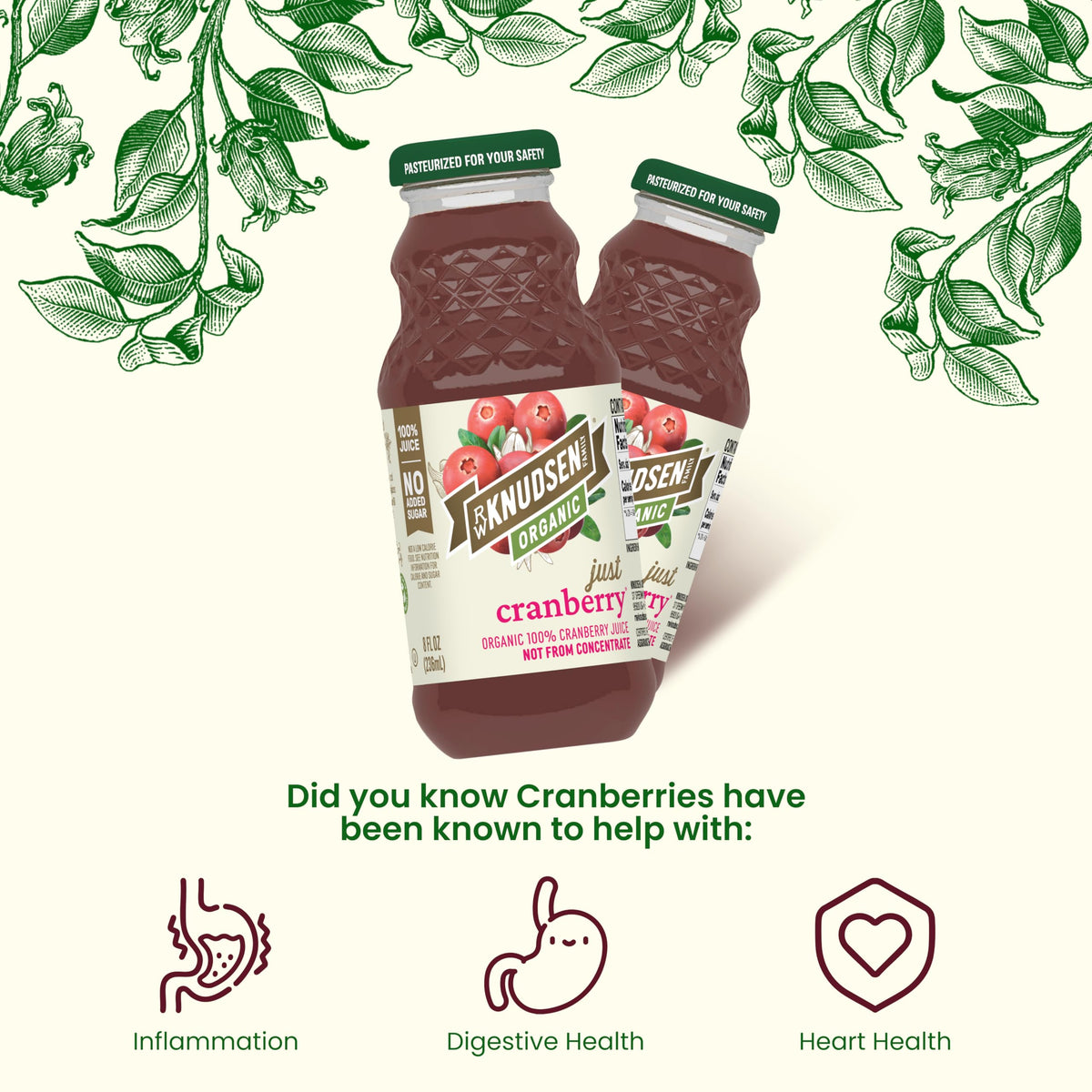 R.W. Knudsen Organic Just Cranberry Juice back-of-pack shows serving size and fruit equivalence.