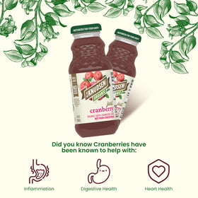 R.W. Knudsen Organic Just Cranberry Juice back-of-pack shows serving size and fruit equivalence.