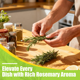 Rylenor dried rosemary bottle preserves freshness after use.