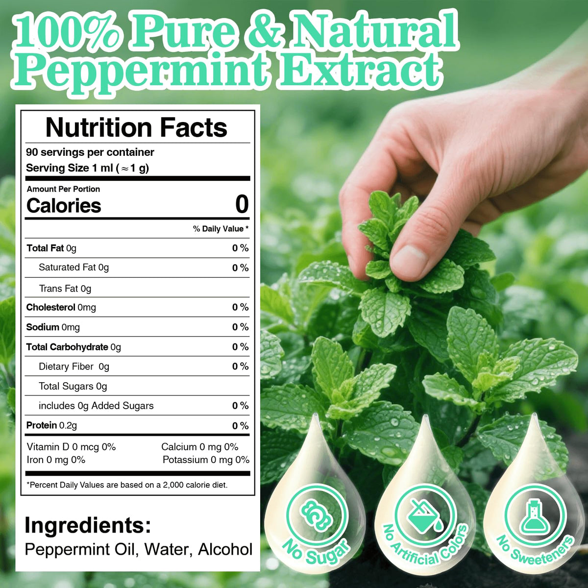 Rylenor peppermint extract bottle label highlights ingredients and kosher notes.