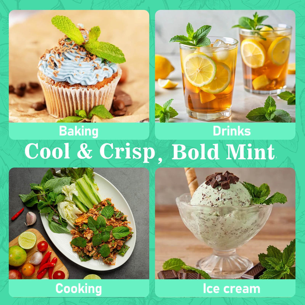 Rylenor peppermint extract ice cream application delivers cooling mint in scoops.