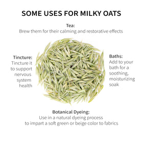Dried Milky Oats loose leaf, hand-processed to preserve flavor and aroma
