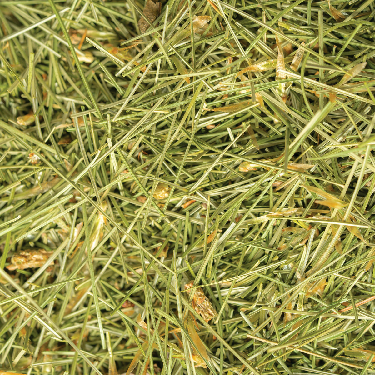 Single-source packaging by Sacred Blossom Farm ensuring traceable quality