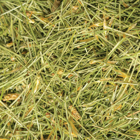 Single-source packaging by Sacred Blossom Farm ensuring traceable quality