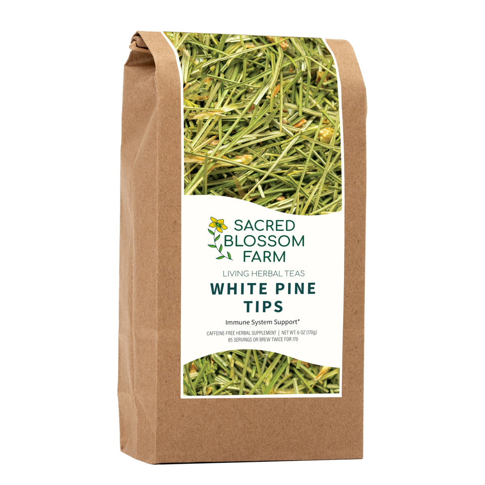 Sacred Blossom Farm White Pine Tea loose leaf with forest aroma for relaxing moments