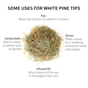 Wisconsin forest harvest by Sacred Blossom Farm highlighting wild pine needles