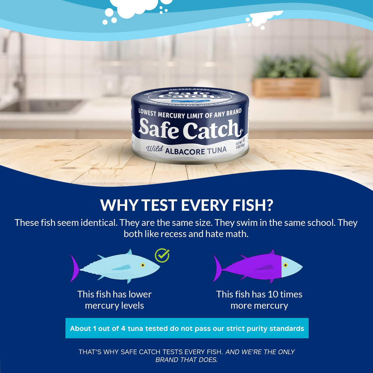 Safe Catch Wild Albacore Tuna pack of 12, convenient pantry choice