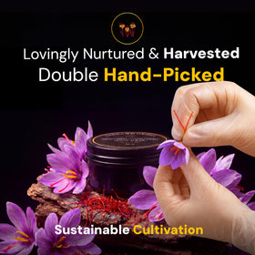 Saffron Wonder versatile saffron for paella, risotto, desserts and more.