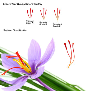 Safi Saffron ISO3632 Grade A label showing purity and consistency.