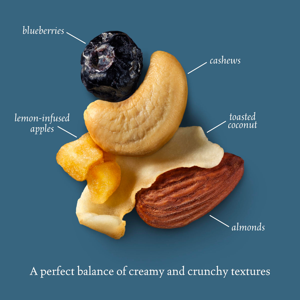 Sahale Snacks Coconut Blueberries Apples mix highlights tropical coconut with berry sweetness