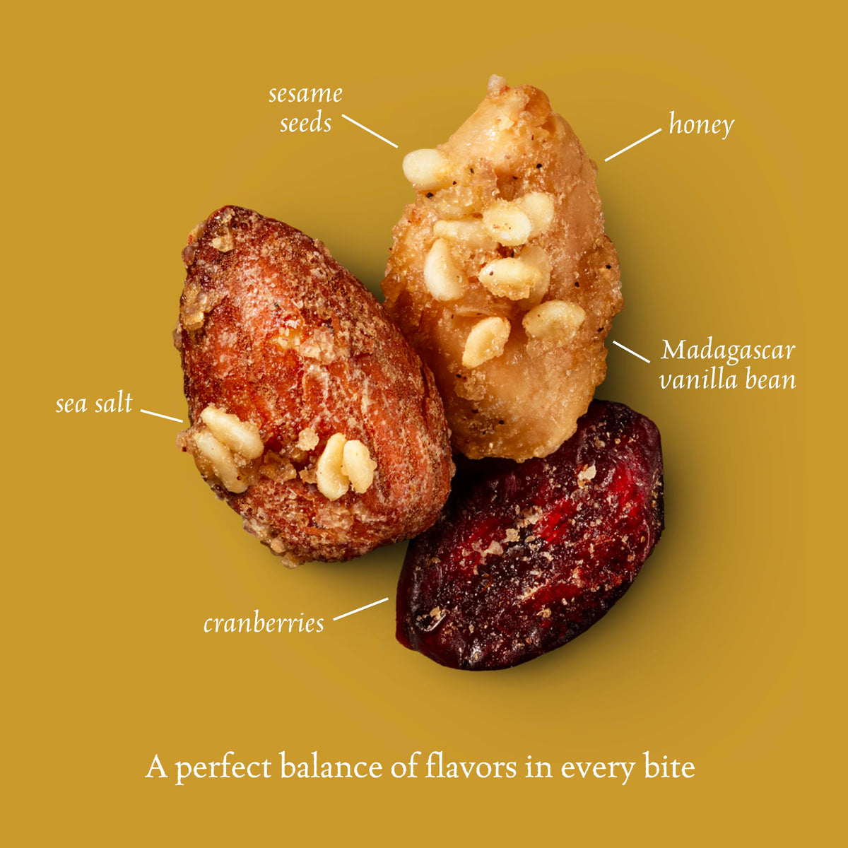 Sahale Snacks Honey Almonds Glazed Mix nuts and cranberries close-up