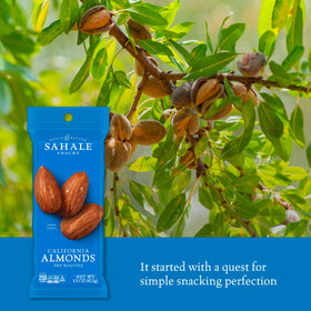 Sahale Snacks sea salt finish highlights natural almond flavor.