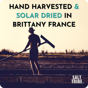 Salt Tribe 82 minerals banner highlights nutrient-dense sea salt features.