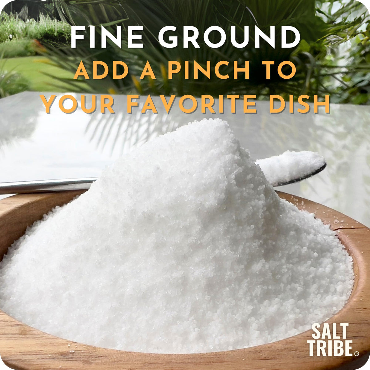 Salt Tribe hand-harvested Baja salt from the Sea of Cortez
