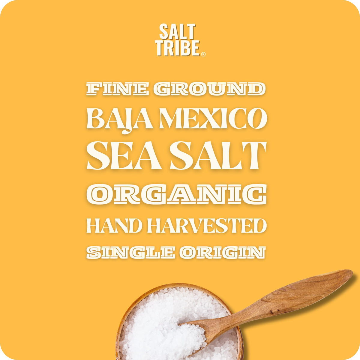 Salt Tribe kitchen-use seasoning emphasizes clean, balanced flavor