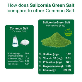 SaltWise Green Salt tote and packaging displayed on kitchen counter.