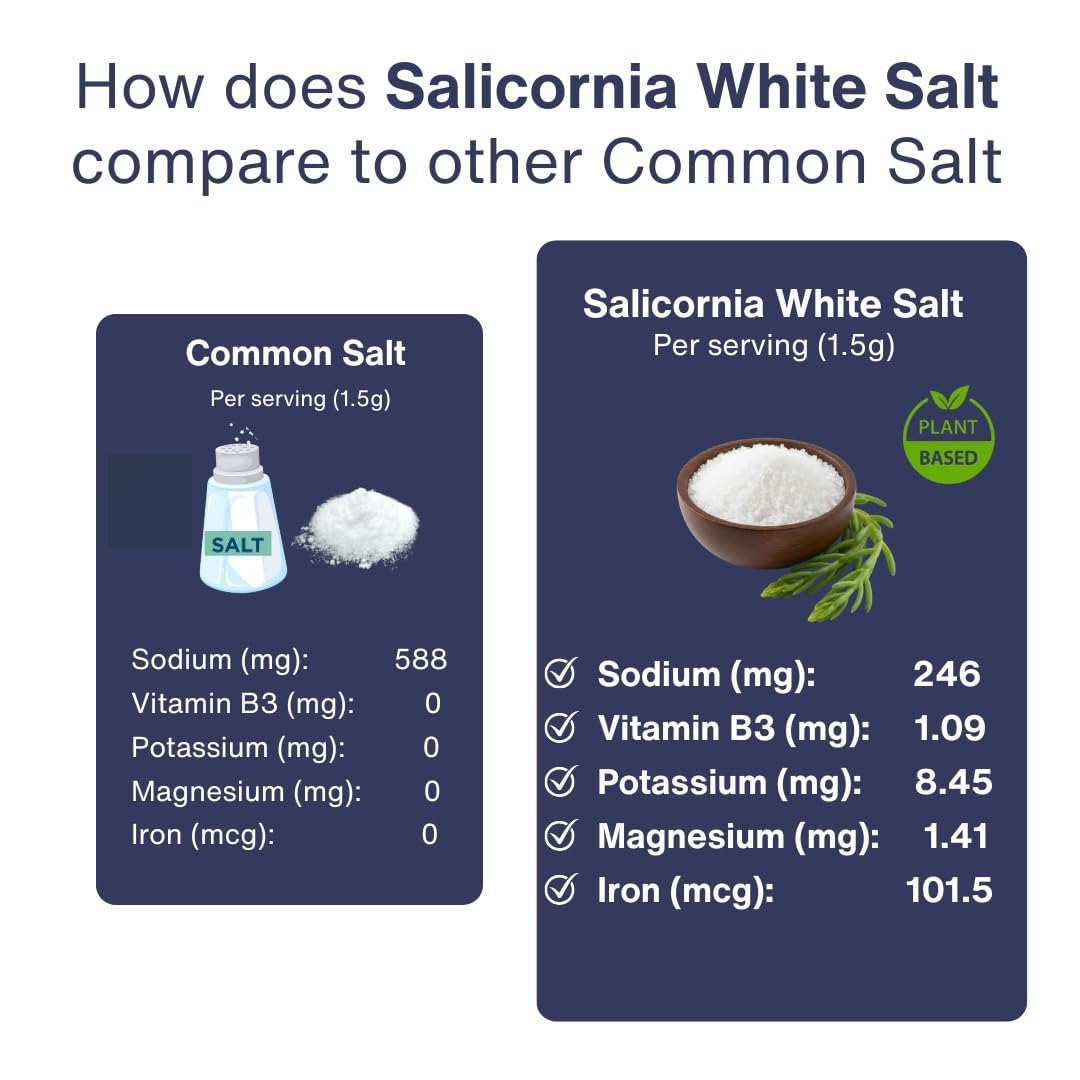 Kitchen scene with SaltWise Salicornia White Salt for versatile cooking