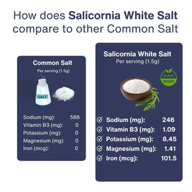 Kitchen scene with SaltWise Salicornia White Salt for versatile cooking
