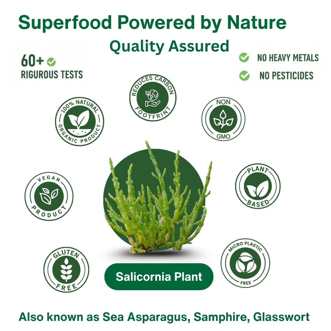 SaltWise Salicornia White Salt shaker — convenient table seasoning with reduced sodium.