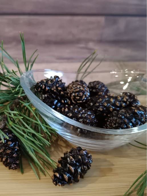 Aromas of pine forest from Samsonov Candied Pine Cones for dessert pairing.