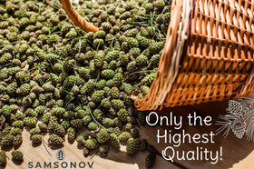 Samsonov tea-time pairing with pine cone jam for cozy evenings