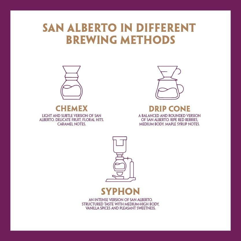 San Alberto gift-ready coffee pack ideal for gifting occasions