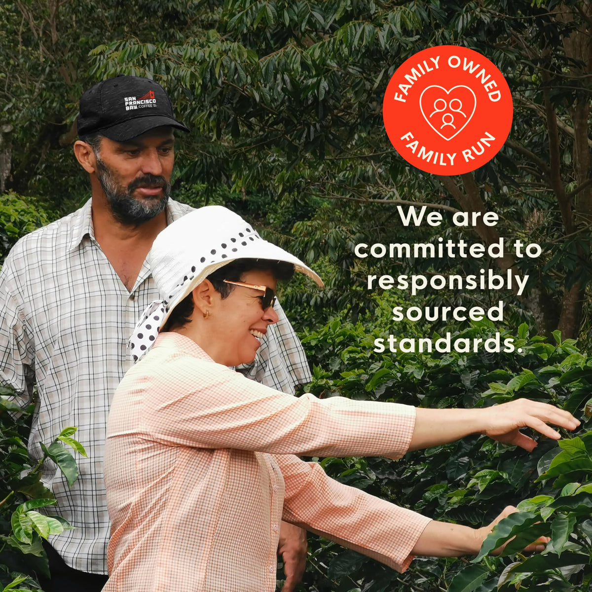 BPI certified compostable pod packaging signals eco-friendly choice.