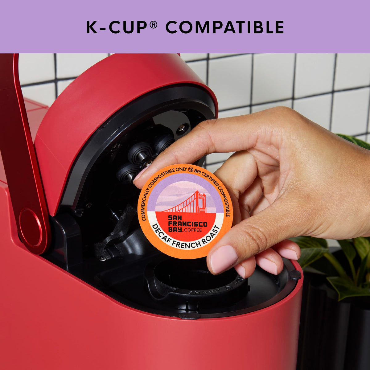 San Francisco Bay commercial compostable pod and eco-friendly packaging