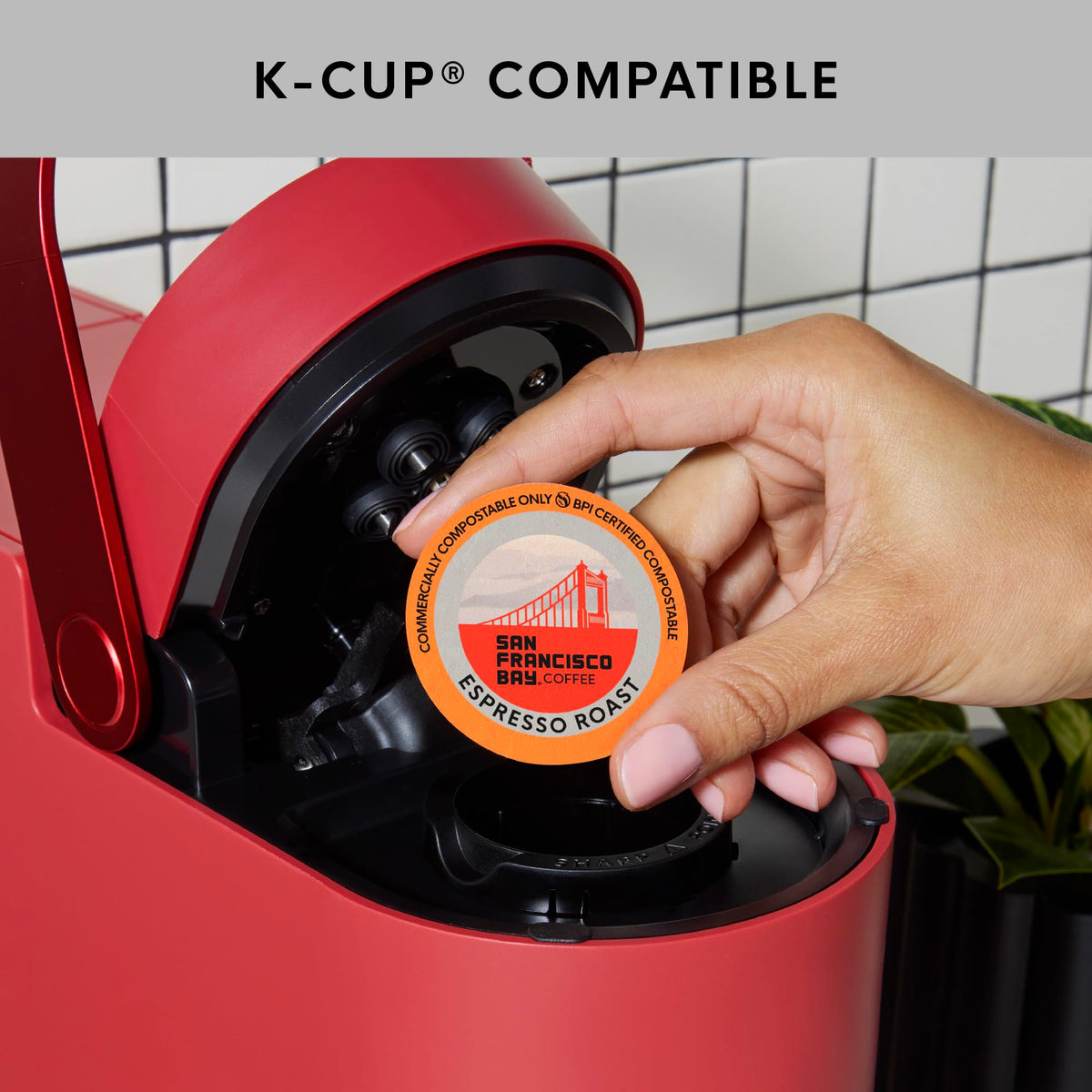 Commercially compostable pod and bag packaging for eco-conscious offices
