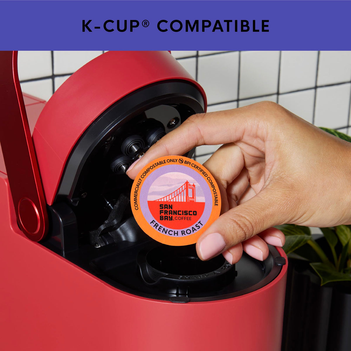 OneCup packaging image highlighting plant-based, compostable design.