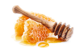 Sanniti Fulmer honeycomb cut vertical profile displaying wax structure.